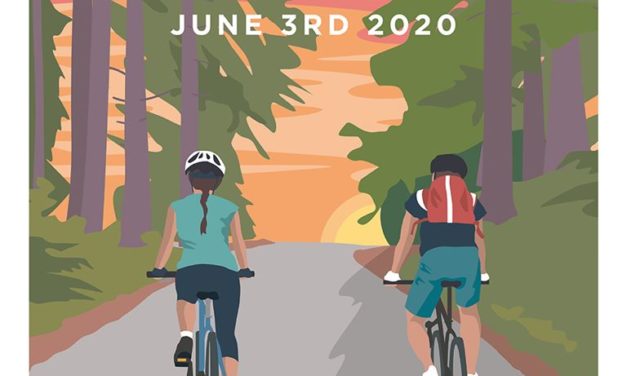 Happy World Bicycle Day 2020!